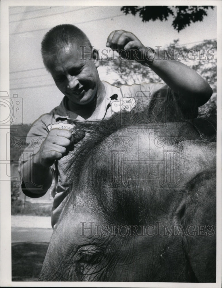 1966, Parks and Playgrounds - Brookside Zoo - cvb37680 - Historic Images