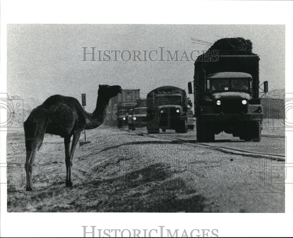 1991 Press Photo US Troops at Middle East War - cvb37972 - Historic Images