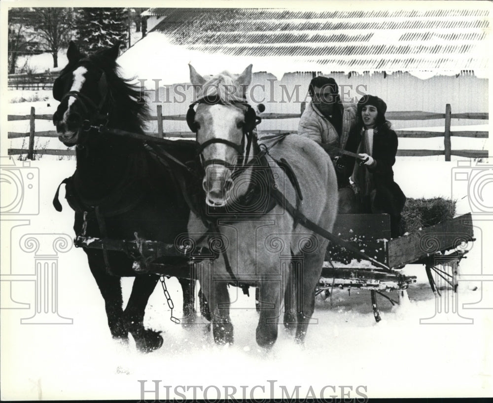 1986 Press Photo Horse drawn sleigh ride-winter - cvb38061 - Historic Images