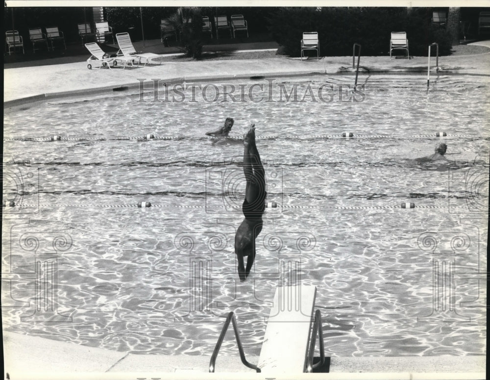 1990 Press Photo Senior citizen dives into the pool-Lakeside Center Sun City - Historic Images