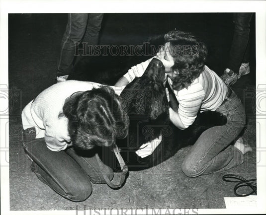 1986 Press Photo Ceasar the bear at Shadows Rock & Roll Club, Brookpark Rd - Historic Images