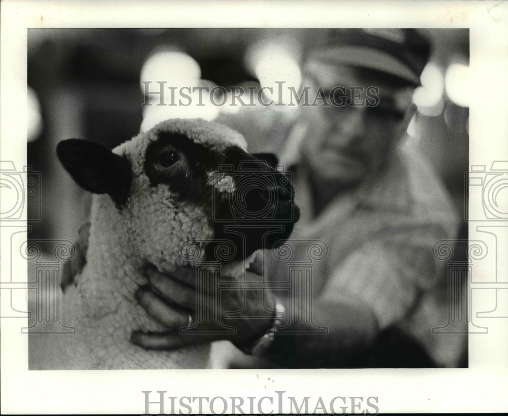 1980, Sheep at the Cuyahoga County - cvb40919 - Historic Images