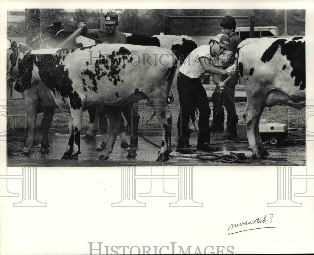 1981 Press Photo Cuyahoga County Fair - cvb40932 - Historic Images