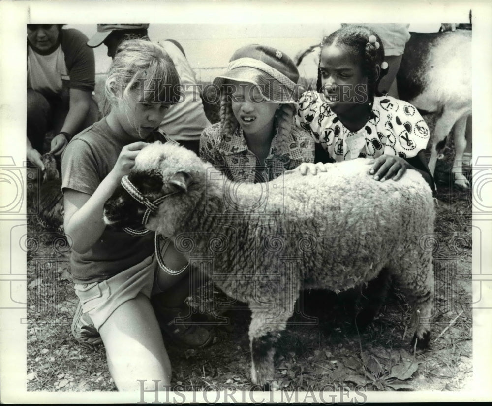 1984 Press Photo Cuyahoga County Fair 1984 - cvb40940 - Historic Images