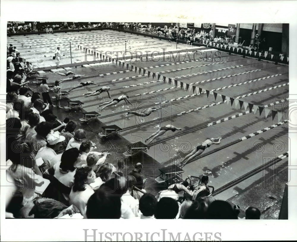 1987 Press Photo North East District Swim Meet - cvb42417 - Historic Images