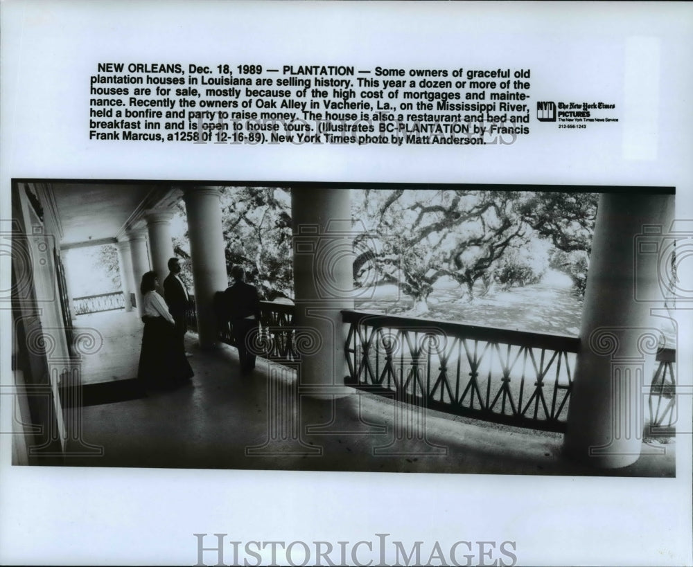 1989 Press Photo Some owners of graceful old plantation houses in Louisiana - Historic Images