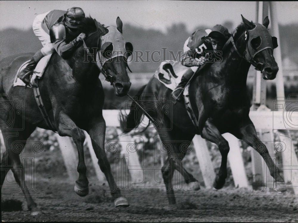 1951 Press Photo Jooc-Horses Racing - cvb44429-Historic Images