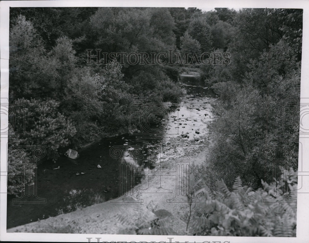 1951 Press Photo Heavy wooded area near entrance of Big Creek Met. Reservation-Historic Images
