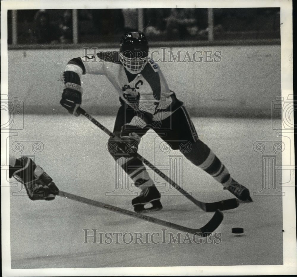 1982 Press Photo Jeff Browsky, North Olmsted hockey player - cvb47675- Historic Images