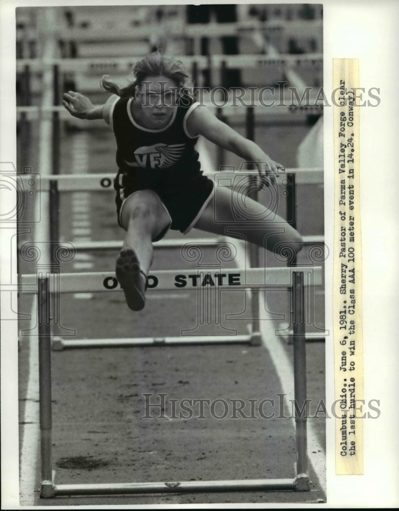 1981 Press Photo Sherry Pastor of Parma Valley Forge clear the last hurdle - Historic Images