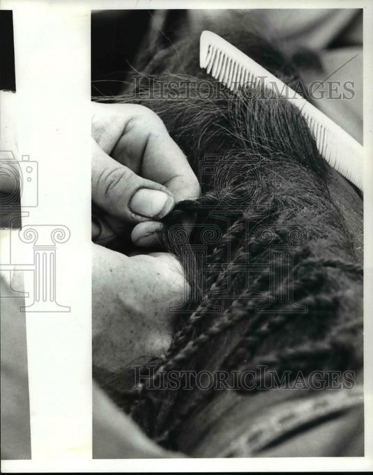 1980 Press Photo Braiding of hair - cvb49114 - Historic Images
