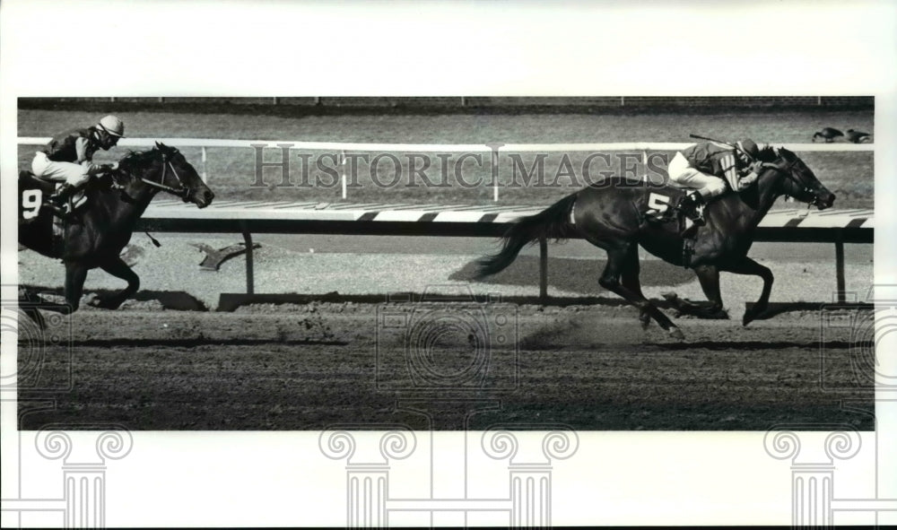 1988 Press Photo #5 Candy Mailer won the race at Thistledown first day of racing - Historic Images