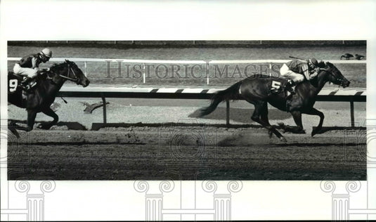 1988 Press Photo