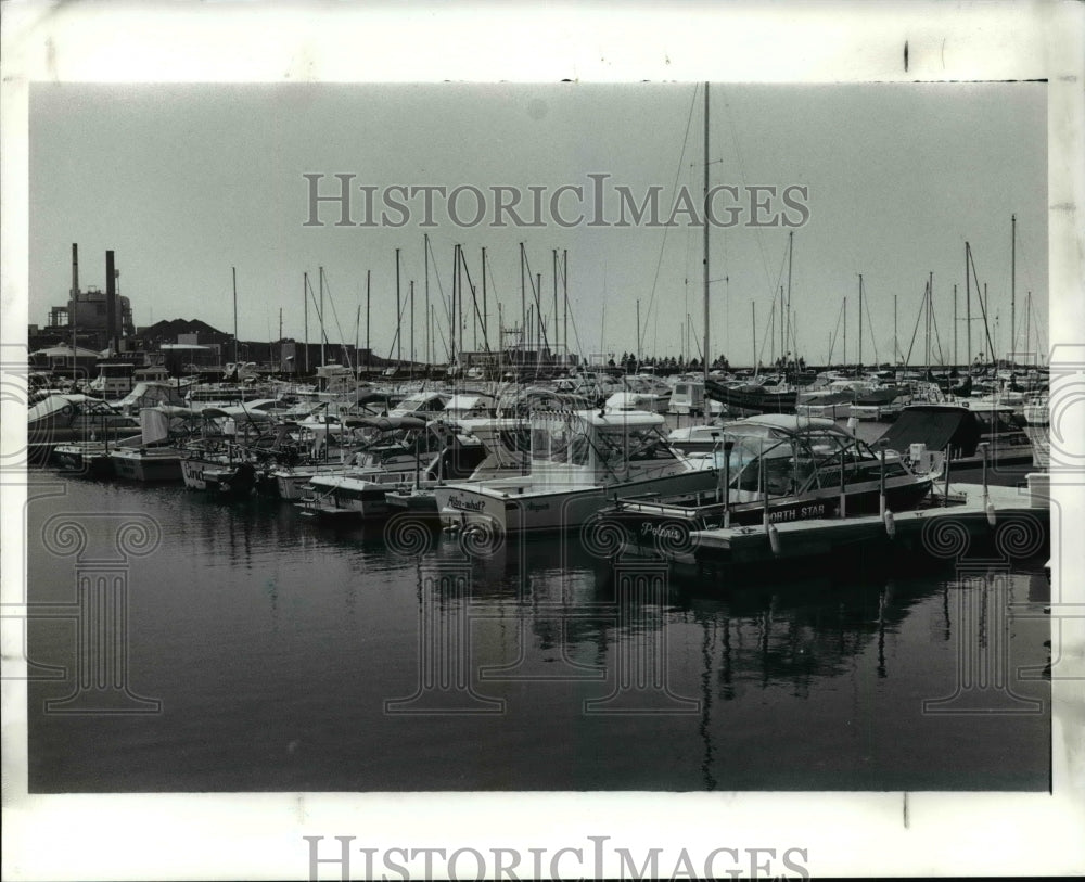 Press Photo: Charter Boats in a marina - cvb49972 - Historic Images