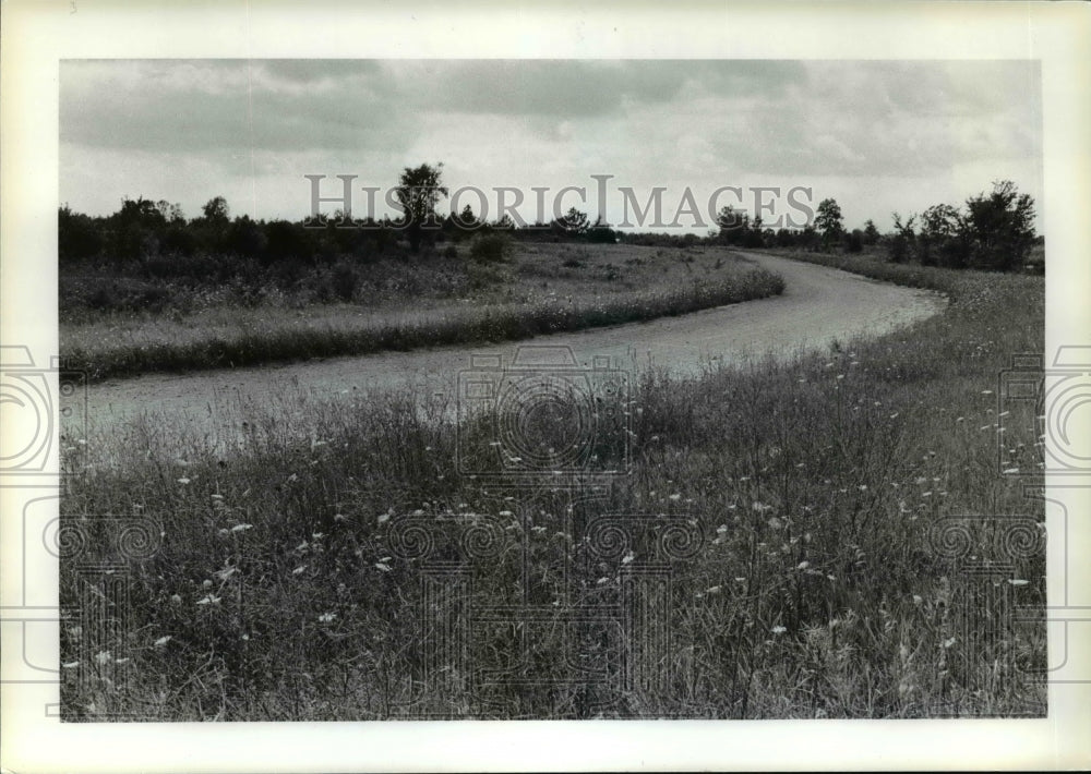 1979 Press Photo All that is left at Ascot last turn into stretch - cvb50022 - Historic Images