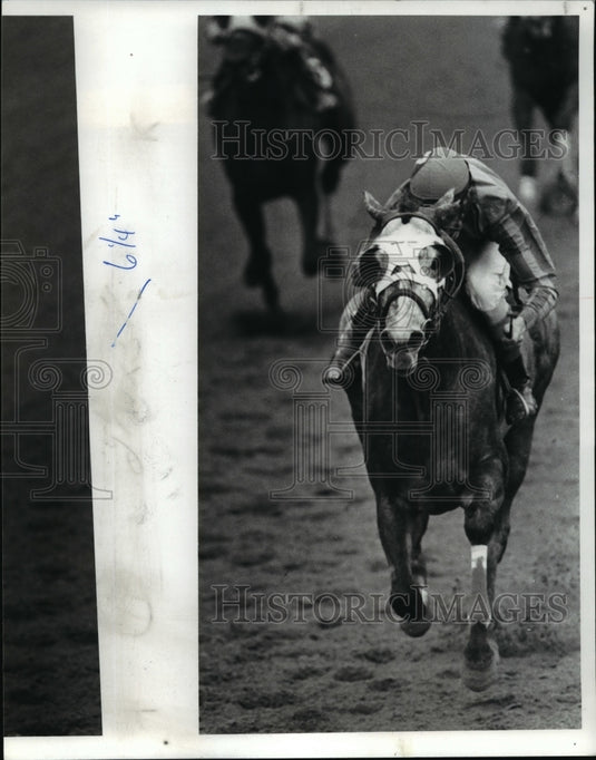 1982 Press Photo Glory Trail Wins - cvb50221 - Historic Images