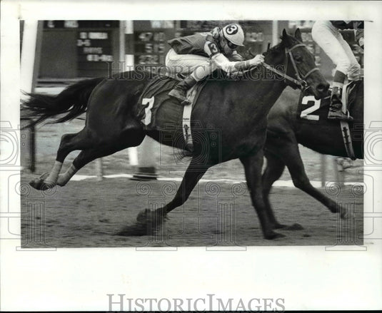 1982 Press Photo Jockey David Appleby - cvb50399- Historic Images
