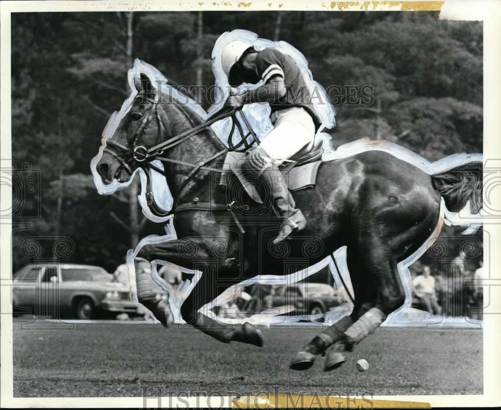 1979 Press Photo Beaver Valley Polo horseman - cvb50681 - Historic Images
