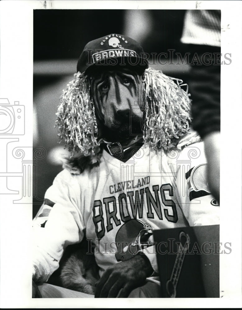 1987 Press Photo Phil Noble 1st quarter Payton Dog mask w/ pom pom - cvb51391 - Historic Images