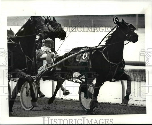 1987 Press Photo Number 6 horse in the third race at Northfield - cvb53242 - Historic Images