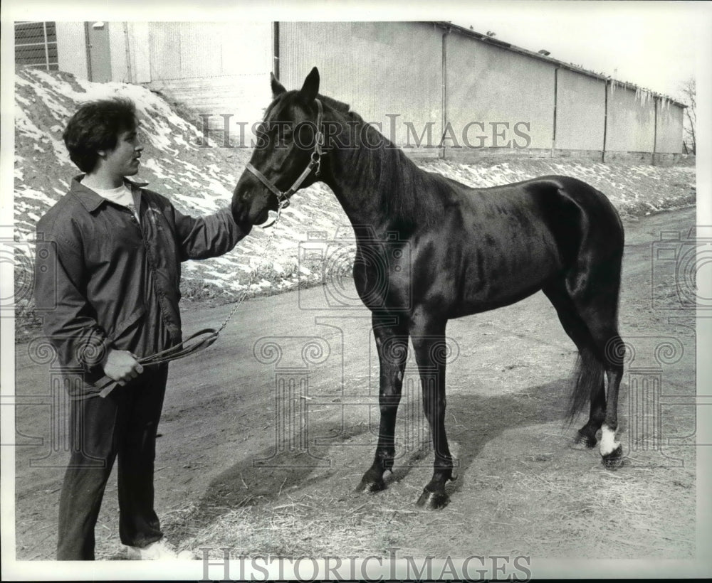 1986 Press Photo Mr. Bo Strangles, a trotting race horse with Mike Newrones - Historic Images