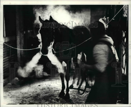 1983 Press Photo Breathing Steam from his nose & steam - cvb53247 - Historic Images