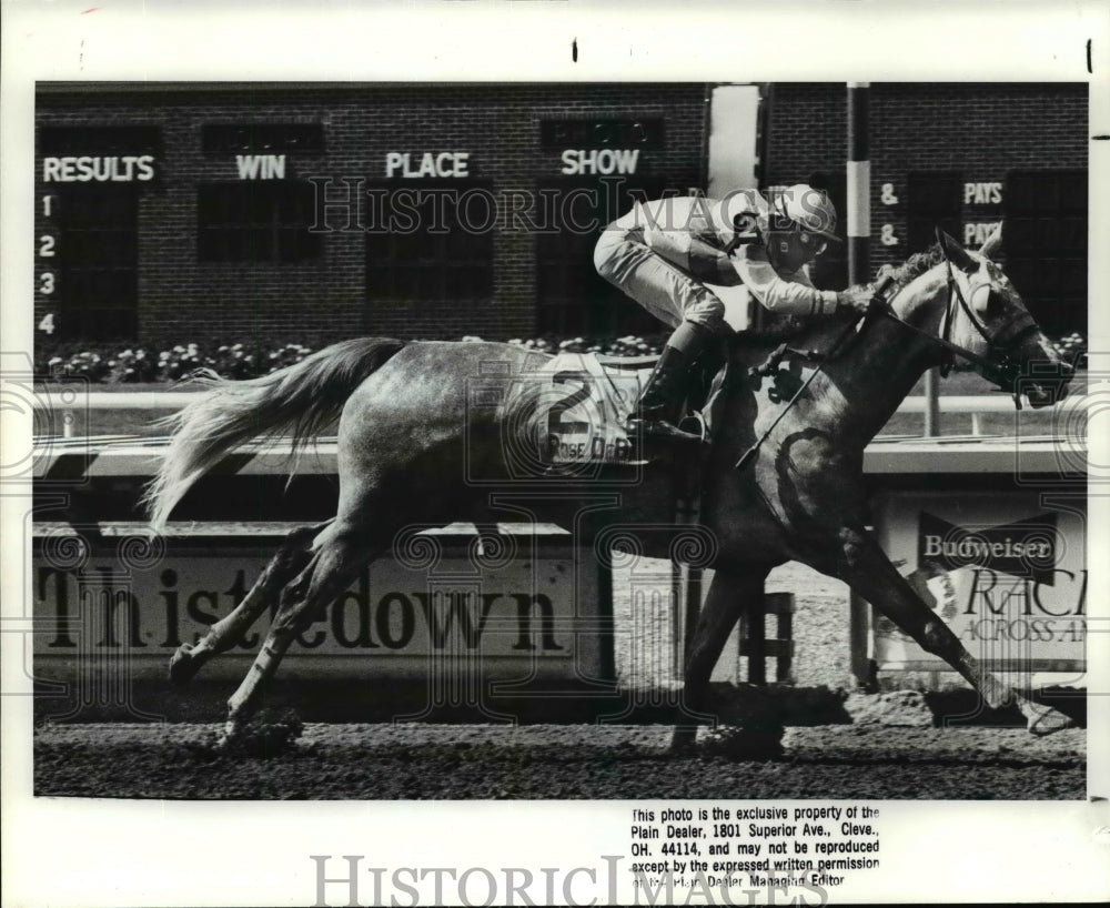 1988 Press Photo Junior Rivera, jockey, Debartilo winner - cvb53263 - Historic Images