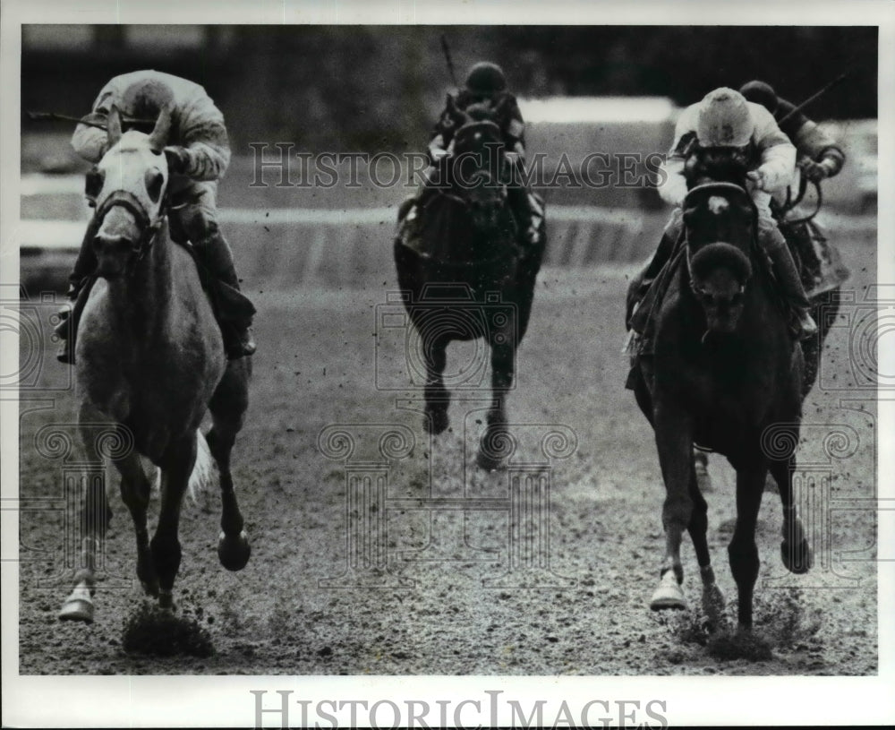 1989 Press Photo At left is the winner of the Rose DeBartolo Memorial Handicap. - Historic Images