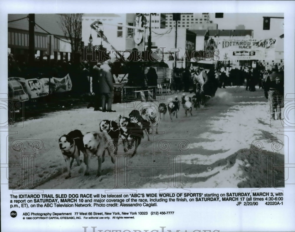 1990 Press Photo The Iditarod Trail Sled Dog Race to be telecast on ABC. - Historic Images