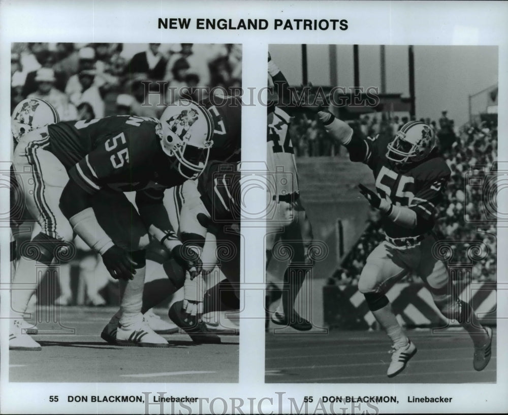 Press Photo New England Patriots football team player-Don Blackmon - cvb54935 - Historic Images