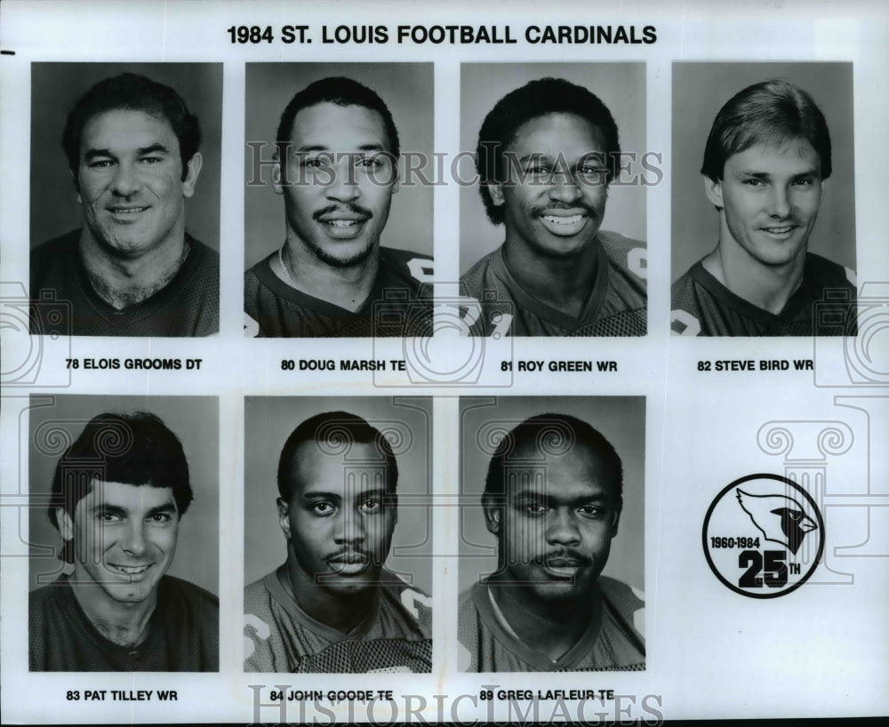 1984 Press Photo St. Louis Football Cardinals - cvb55008 - Historic Images