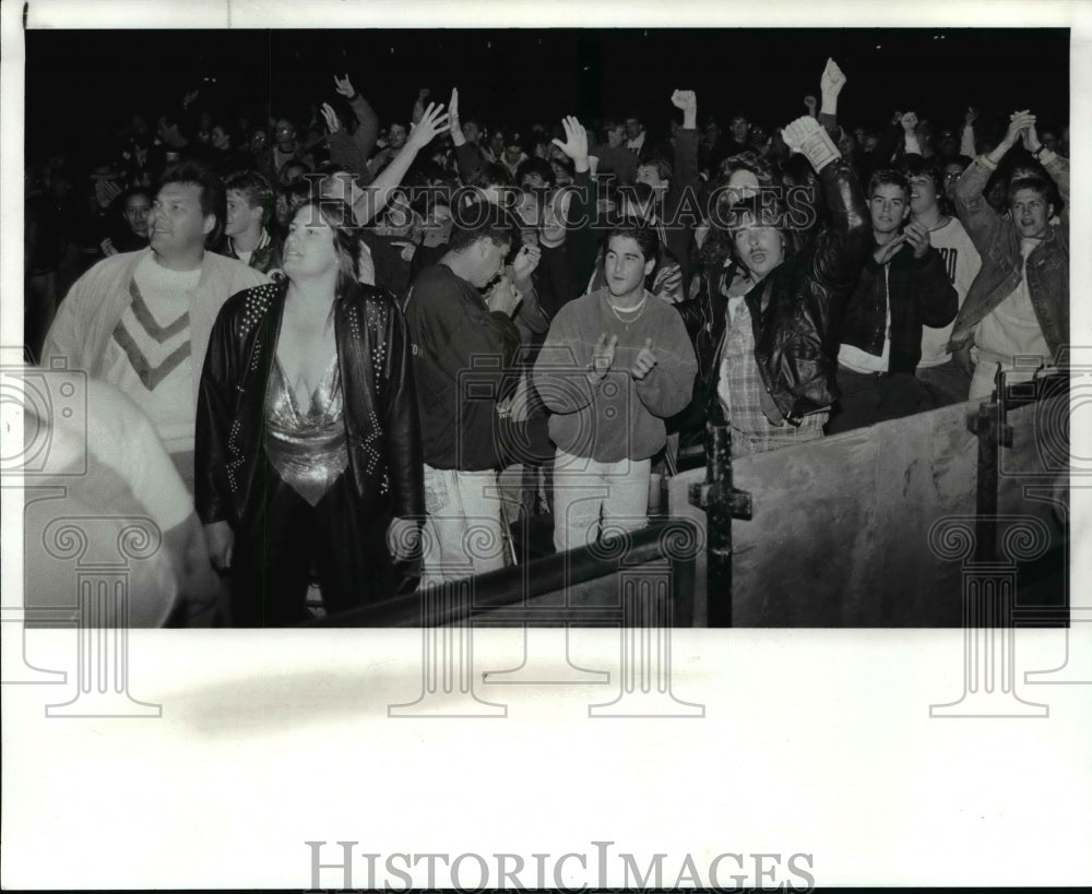 1989 Press Photo Rolling Stones concert-cheering crowd - cvb55218 - Historic Images