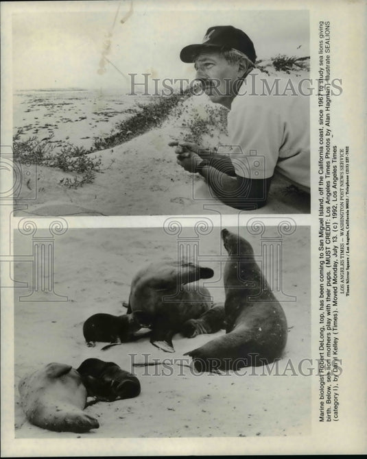 1992 Press Photo Marine biologist Robert DeLong, top. Below, sea lions - Historic Images