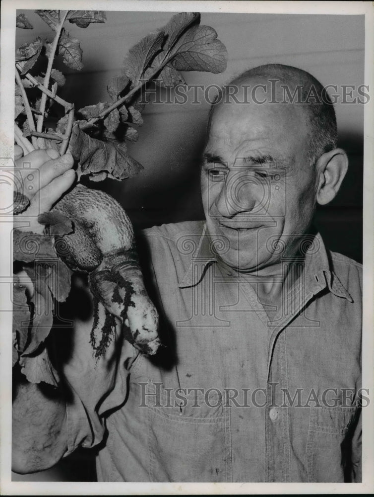 1963 Guiseppe D&#39;Ambrosio with his champion radish-Historic Images