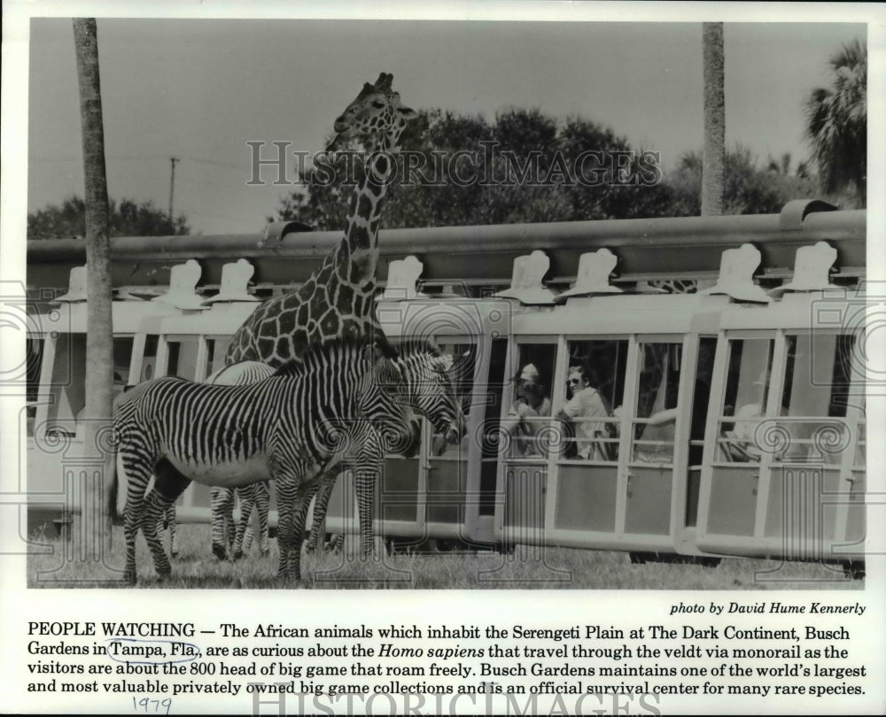 1979 Press Photo The Dark Continent, Busch Gardens in Tampa, Florida - cvb56979 - Historic Images