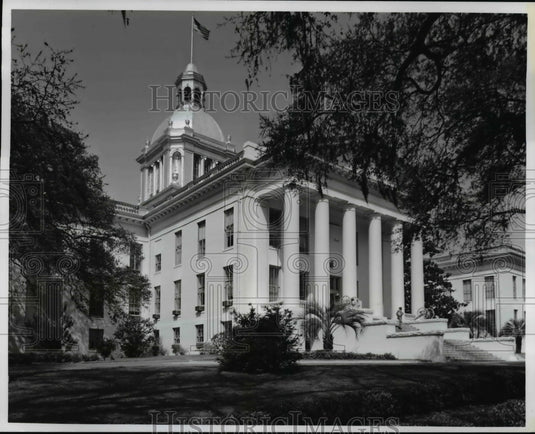 1975 Press Photo Tallahassee, Florida's silver-domed capitol building - Historic Images
