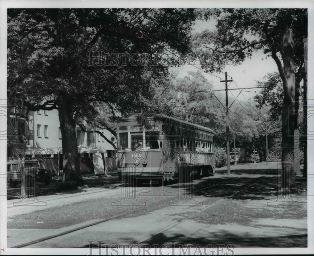 1977 Press Photo New Orlean&#39;s last street car line, St. Charles St. Luisiana - Historic Images