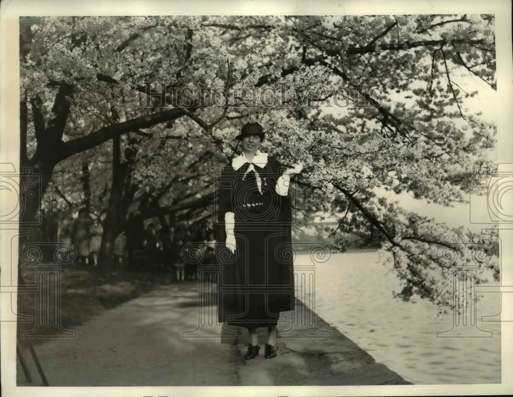 1933 Press Photo Mrs. Franklin D. Roosevelt with Cherry Blossoms by Tidal Basin - Historic Images