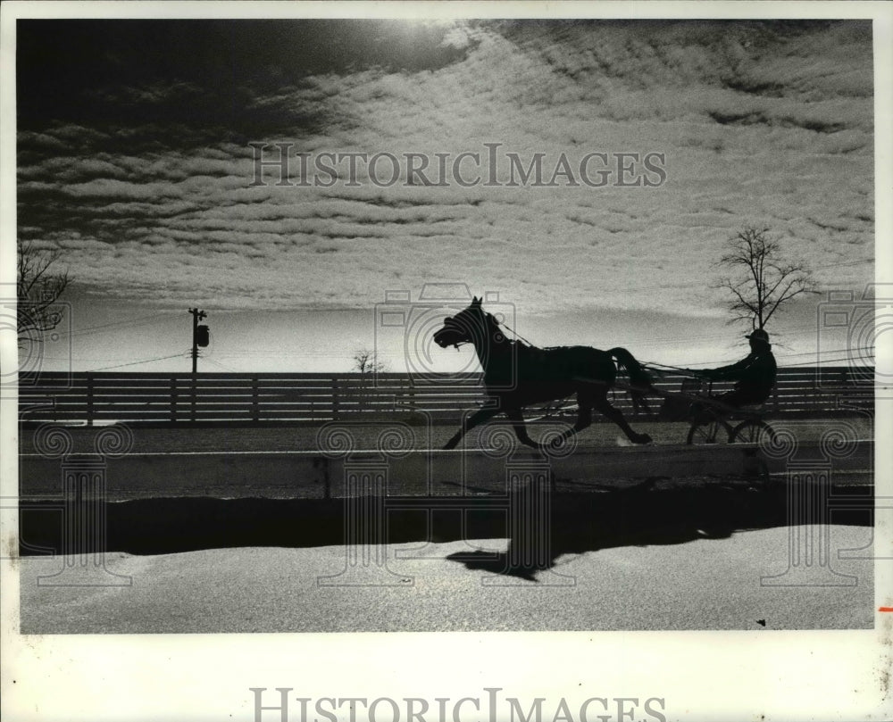 1979 Press Photo Horse works out in moving sun and snow at Northfield - Historic Images