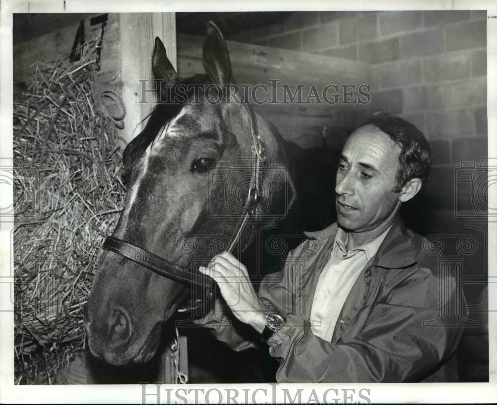 1982 Press Photo Spanish Drums the horse - Historic Images