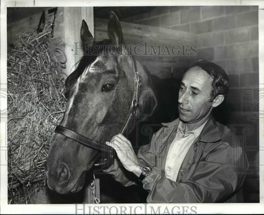 1982 Press Photo Spanish Drums the horse - Historic Images