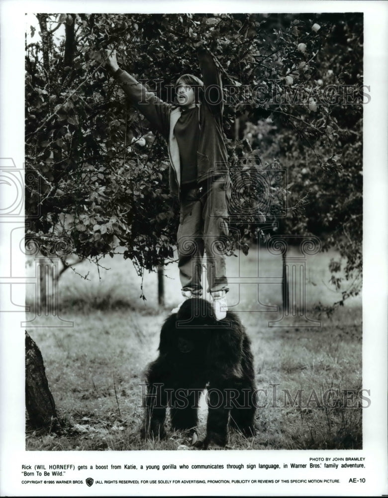 1995 Press Photo Scene from the Movie "Born To Be Wild" - cvb59755 - Historic Images