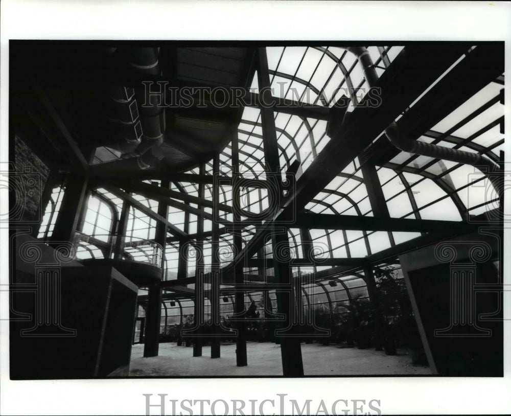 1989 Press Photo Cleveland Tropical Rain forest at Cleveland Metroparks zoo - Historic Images