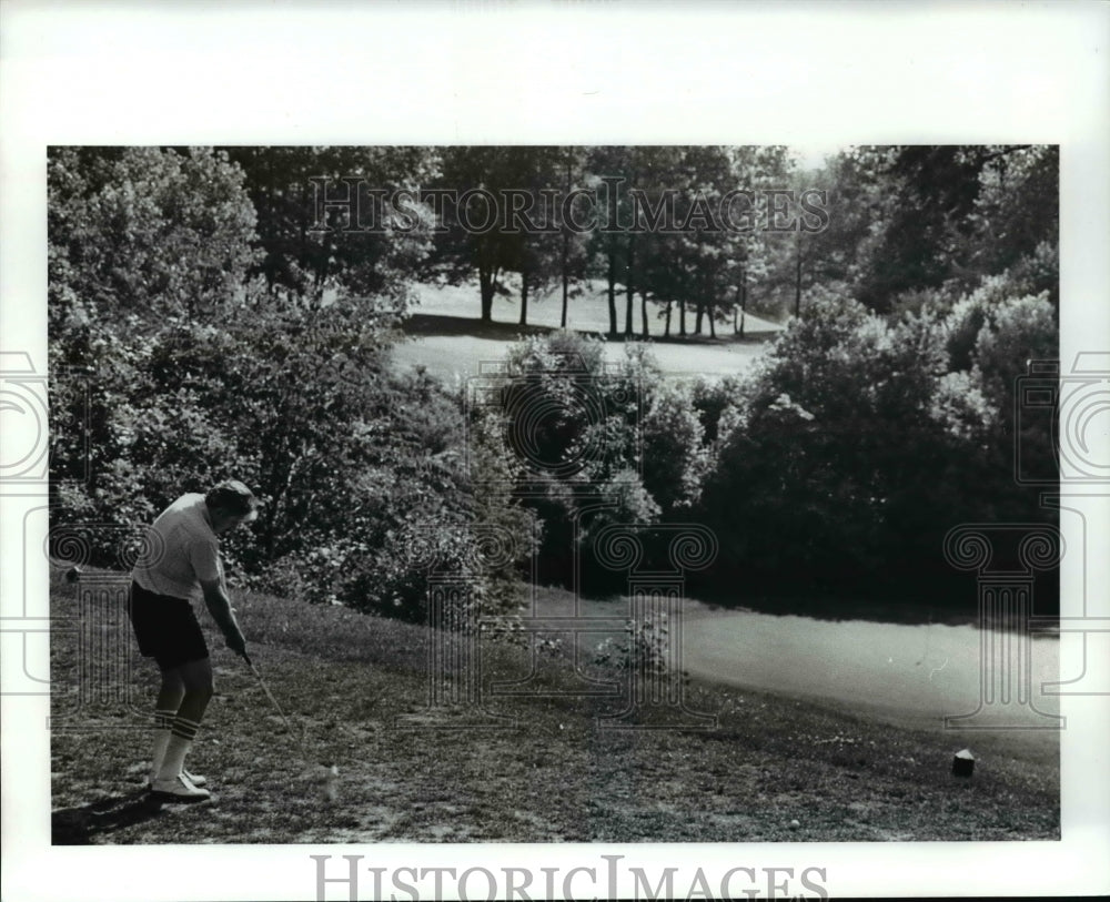 1988 Press Photo The 13th hole at Astorhurst from the Tee - cvb61985 - Historic Images