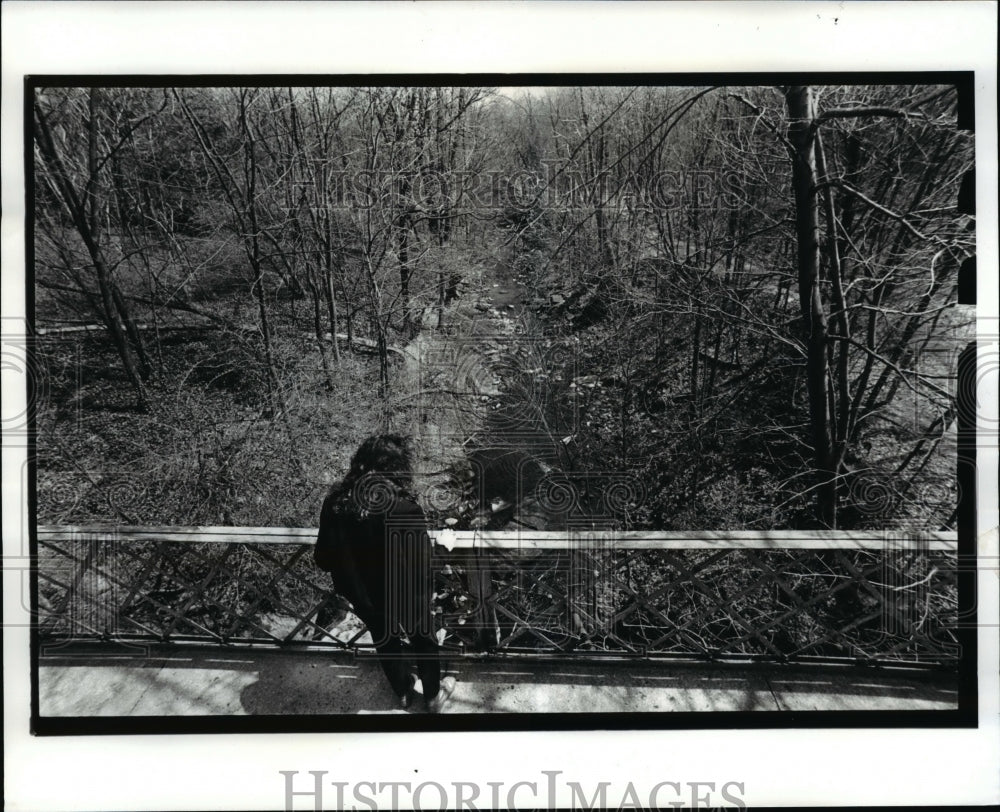 1988 Press Photo Main Streed Bridge in Olmsted Falls over Plum Creek - cvb62277 - Historic Images