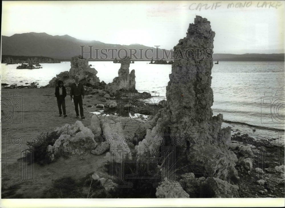 1985 Press Photo Towers of tufa at Mono Lake near Lee Vininig Calif. - cvb62313 - Historic Images