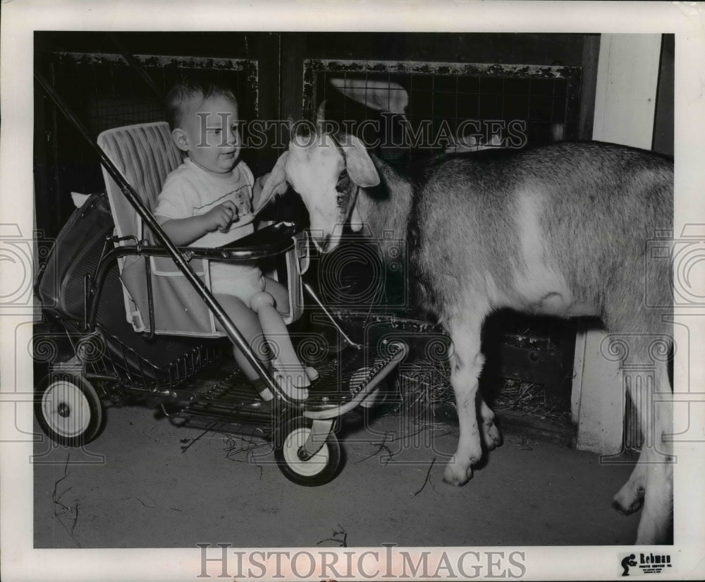 1961, Terry Harrell, 8 months at Cleveland Zoo with another Kid. - Historic Images