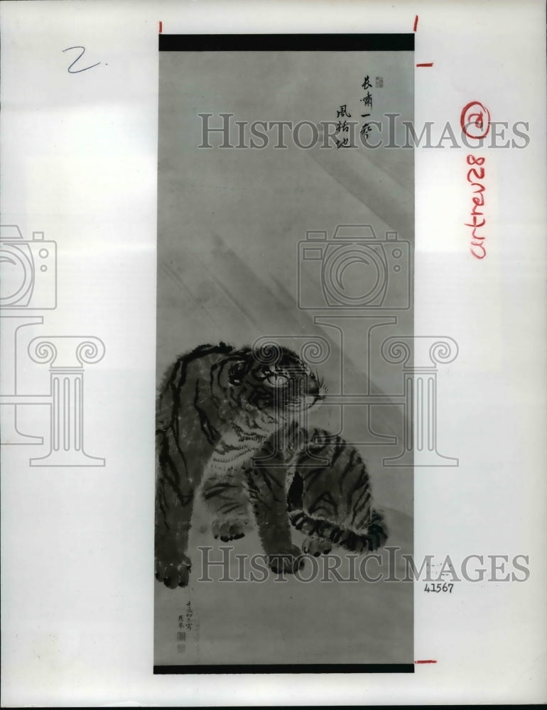 1993 Press Photo Tiger in Wind and Rain - cvb62767 - Historic Images