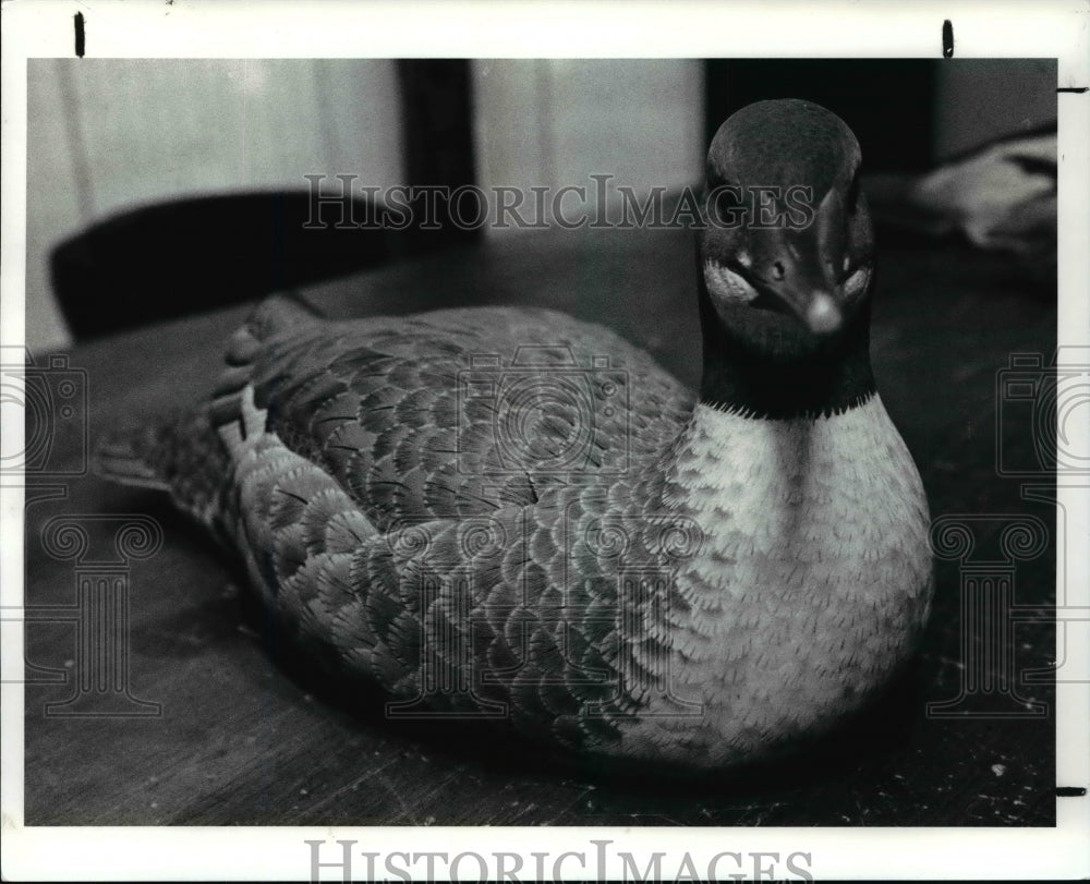 1991, Duck decoy by Bob Franta - cvb63266 - Historic Images