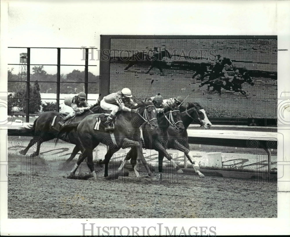 1987 Press Photo Thistledown Race Track-horse raising - cvb65490- Historic Images